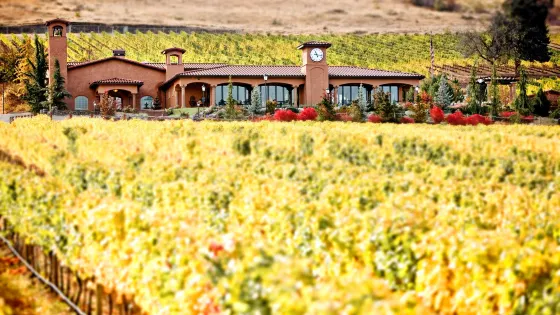 Tsillan Cellars