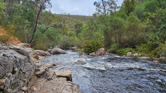 Fish Falls