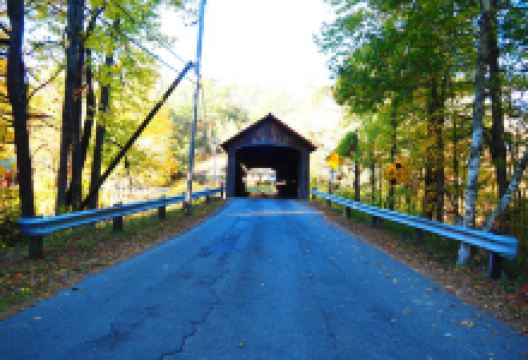 Coombs Covered Bridge景点图片