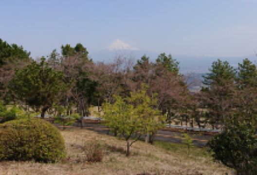 Hatago Pond景点图片