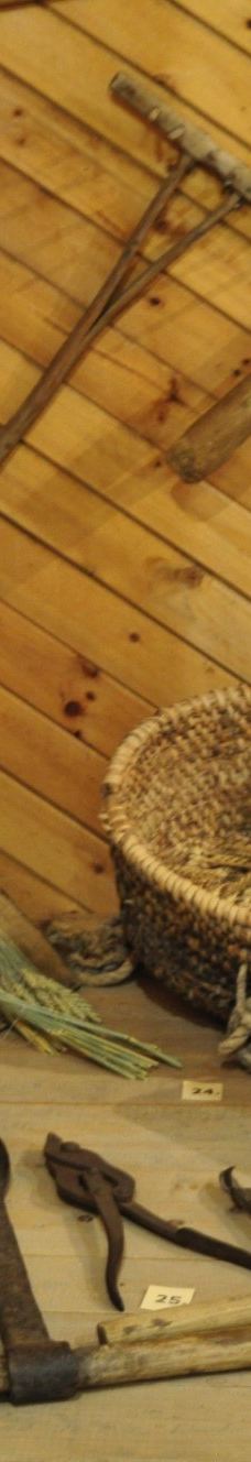 Andrejs Pumpurs Lielvardes muzejs-Lielvardes pilseta