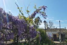 El Molino De Abajo购物图片