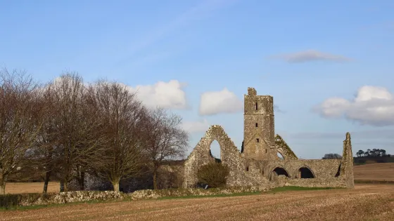 Kilcrea Friary