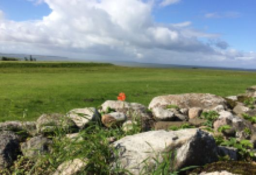 Aggersborg Vikingeborg景点图片