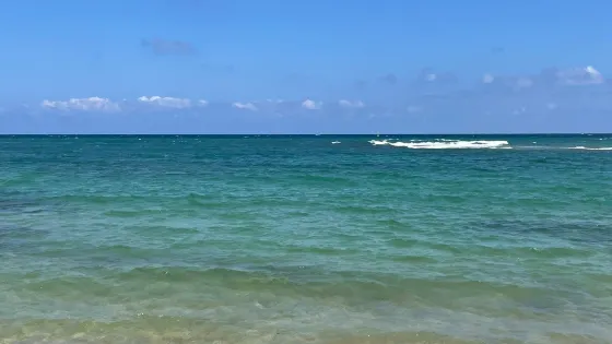 Spiaggia Torre Guaceto