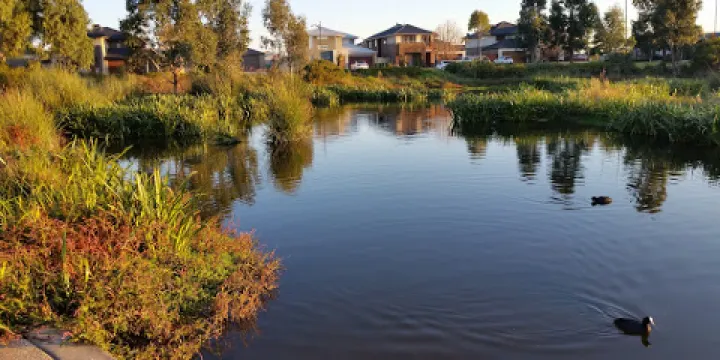 Caversham Waters Wetland