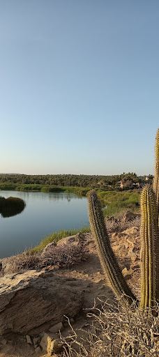 Playa Todos Santos B.C.S.-拉巴斯