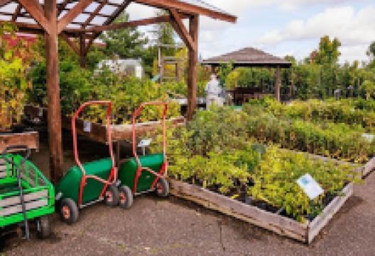 Juhani Puukool - Viimsi Istikuäri购物图片