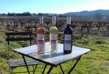 Domaine les Conques Souliere购物图片