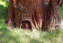 Ufford Recreation Ground景点图片