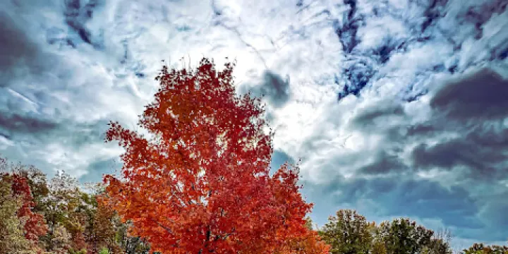 W. W. Knight Nature Preserve