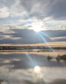 诗云砵自然保护区-Swanport