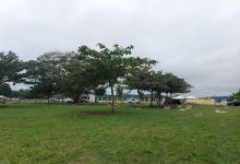 Solana Memorial Park景点图片