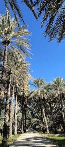 Bait Al Safah-哈姆拉