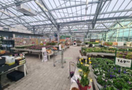 Hageland Solblomsten购物图片