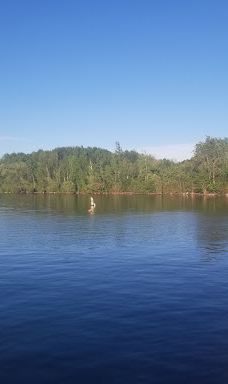 Bayview Park-阿什兰