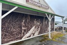 Tuatapere Bushman's Museum景点图片