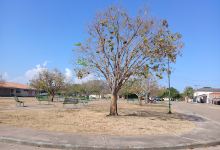 Praça Três Poderes景点图片