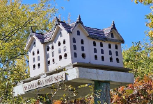 Birdhouse City景点图片