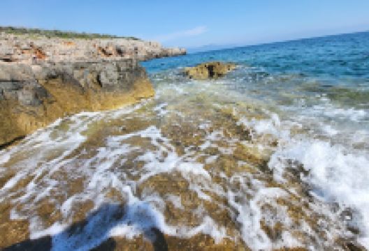 Plaza Veslo景点图片