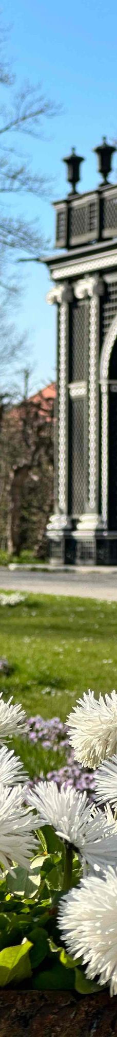 美泉宫-维也纳-YoYo_4U3J2G5S