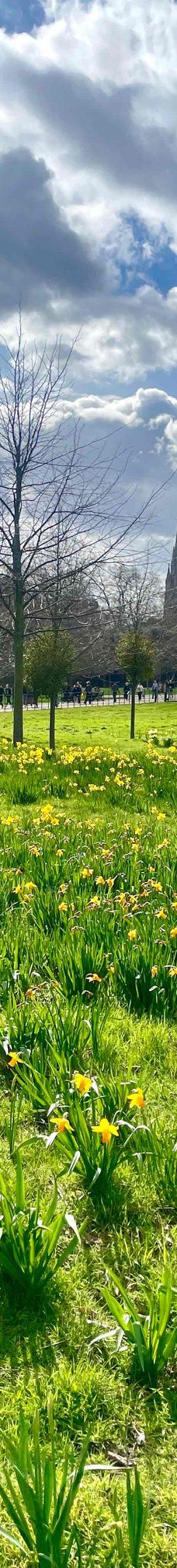 海德公园-伦敦-YoYo_2Z6R7X2Q