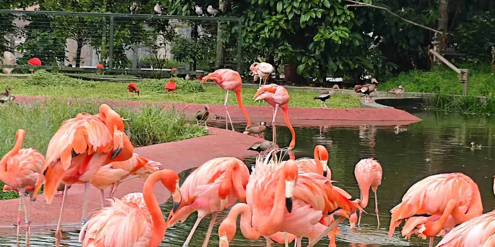 永安旅遊