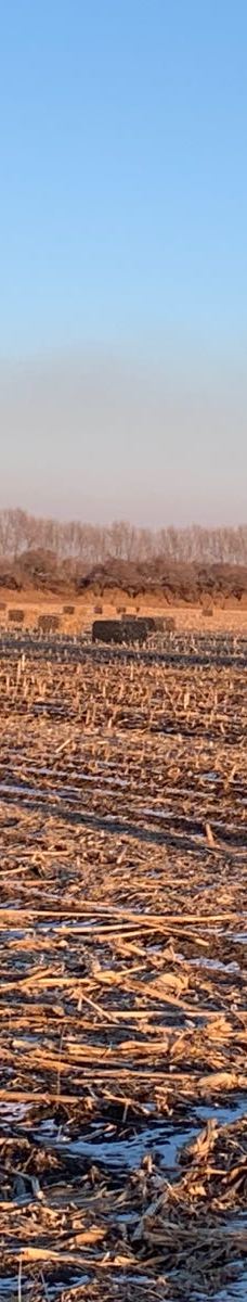 八里城遗址-肇东