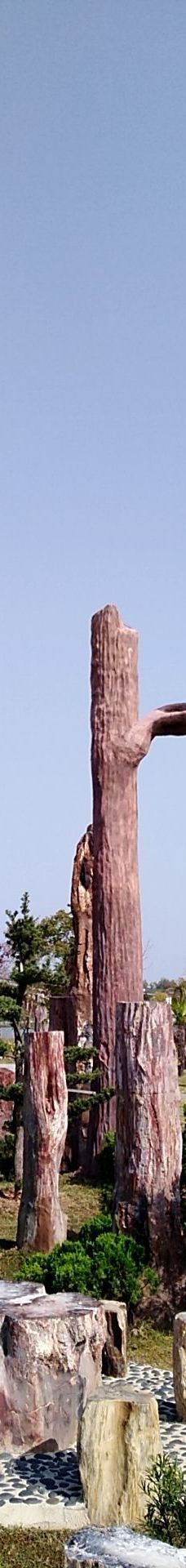 黄石华侨城恐龙奇域-大冶