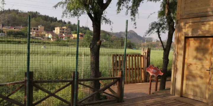 噠啦仙谷旅遊景區-七彩花田