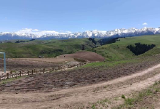 江布拉克景区-郁金香园景点图片