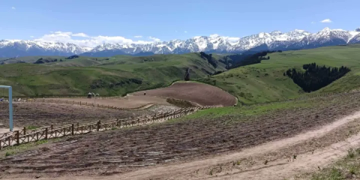 江布拉克景區-鬱金香園