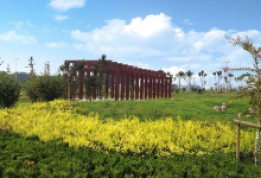 黄龙湖公园景点图片