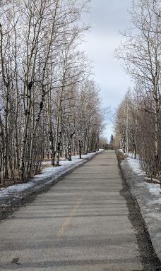 South Glenmore Park-卡尔加里