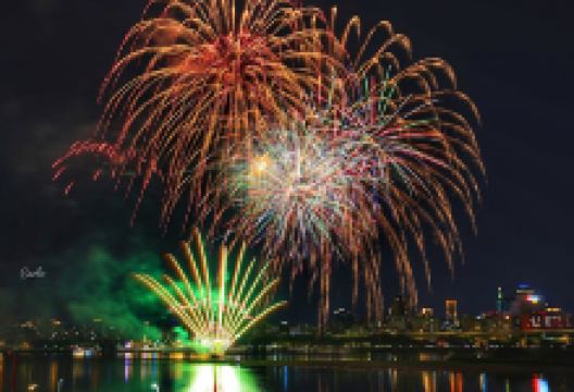 小树林公园景点图片