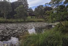 Mapleton LilyPonds Playground景点图片