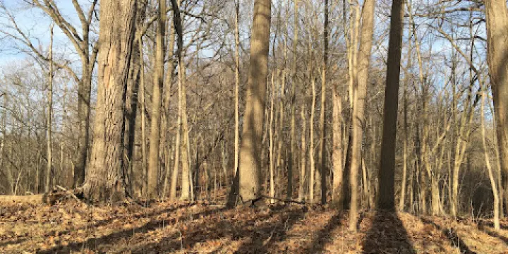 J. Arthur Herrick Fen Nature Preserve
