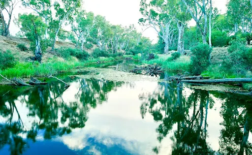 Bridgewater Swimming Hole
