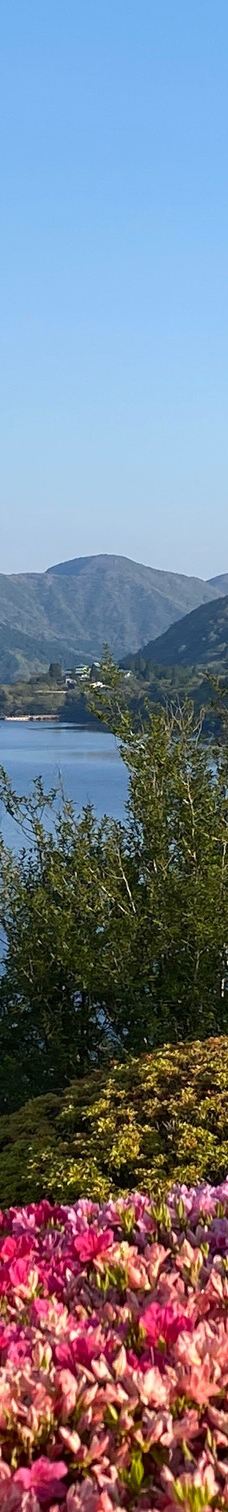 恩赐箱根公园-箱根