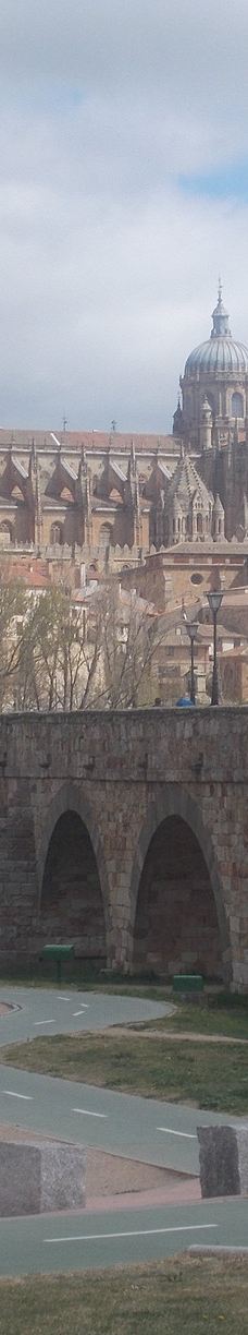 罗马古桥-萨拉曼卡