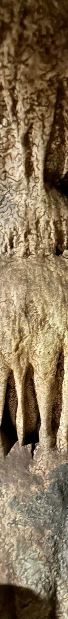 Grotta Zinzulusa-卡斯特罗