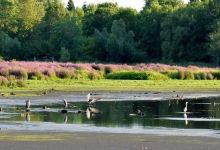 Lynde Shores Conservation Area景点图片