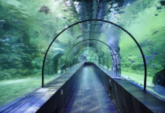 ViaSea水族馆景点图片