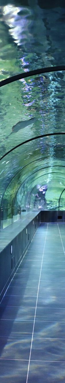 ViaSea水族馆-伊斯坦布尔