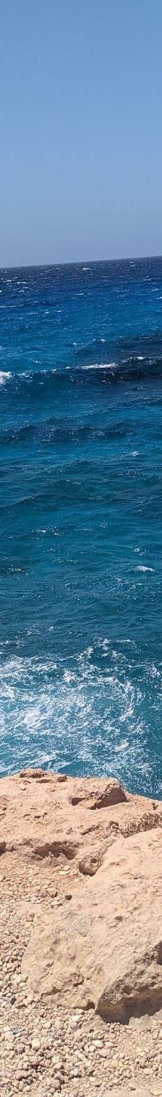 Cavo Greco National Park-圣纳帕