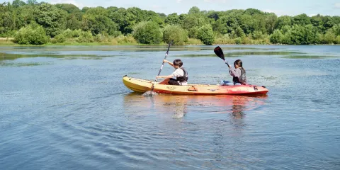 Witton Castle Country Park