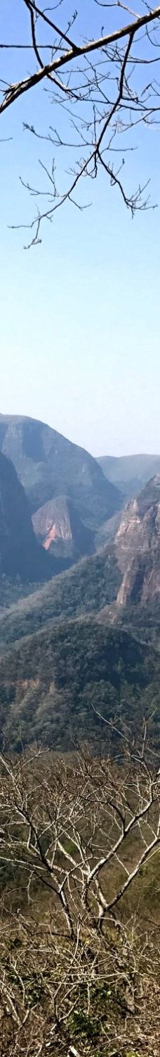 Amboro National Park-圣克鲁斯