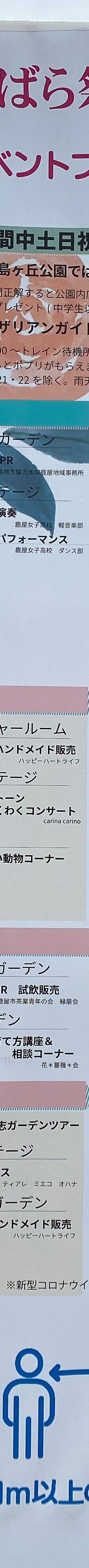 日本最大 鹿屋玫瑰园-鹿屋市