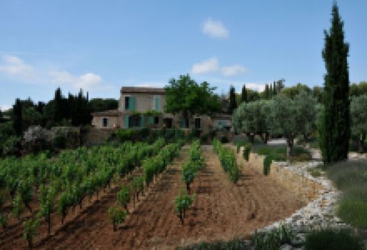 Clos du Cas景点图片