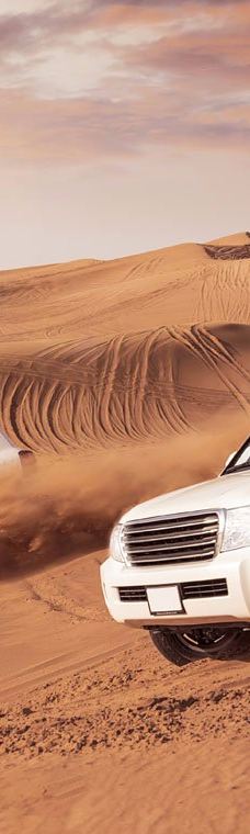 My Safari Dubai-迪拜